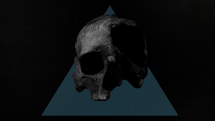 人間の頭蓋骨の図、頭蓋骨、ミニマリズム、 HDデスクトップの壁紙
