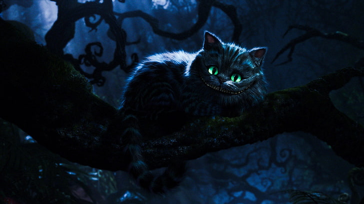 Alice au pays des merveilles, chat de Cheshire, chat, Fond d'écran HD