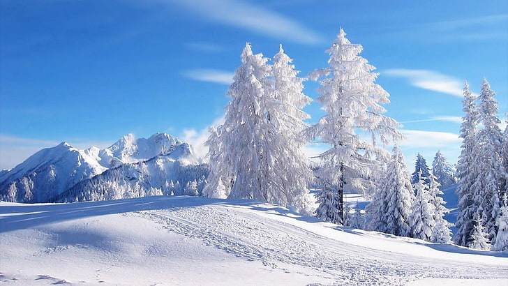 Winter, Himmel, Schnee, Baum, Gebirge, Raureif, Frost, Einfrieren, Tanne, blauer Himmel, Piste, Berg, Massiv, Kiefer, HD-Hintergrundbild