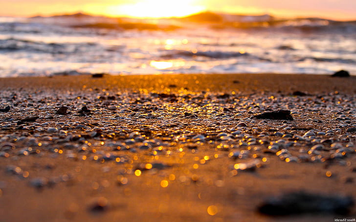 beach sea nature depth of field stones sand pebbles bokeh sunlight sunset, HD wallpaper