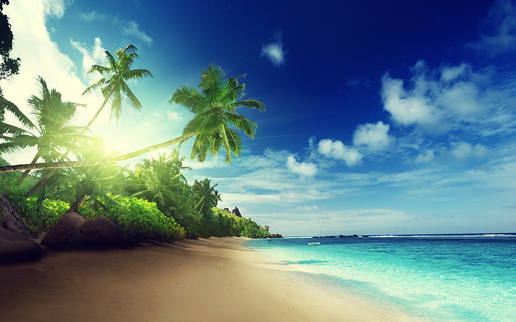 Playa en el atardecer en Seychelles, frente a la playa, naturaleza, playa, verano, plam, Fondo de pantalla HD