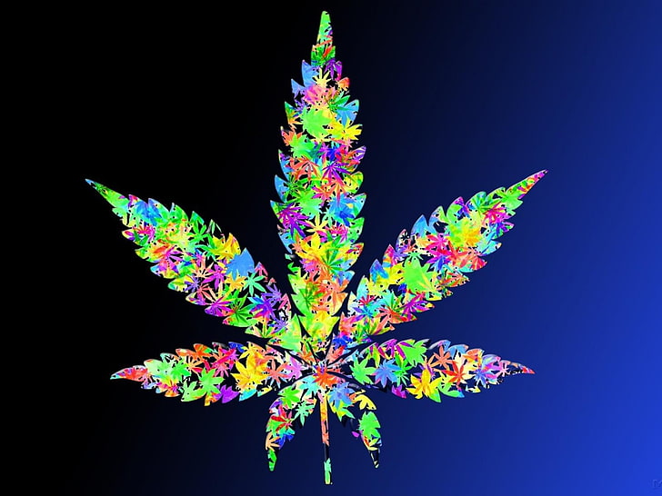 420, ganja, obat-obatan, obat-obatan, ganja, alam, tanaman, psikedelik, rasta, reggae, trippy, gulma, Wallpaper HD
