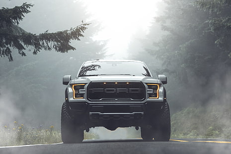 Ford, Raptor, пикап, F-150, 2019, от Aaron Brimhall, HD тапет HD wallpaper