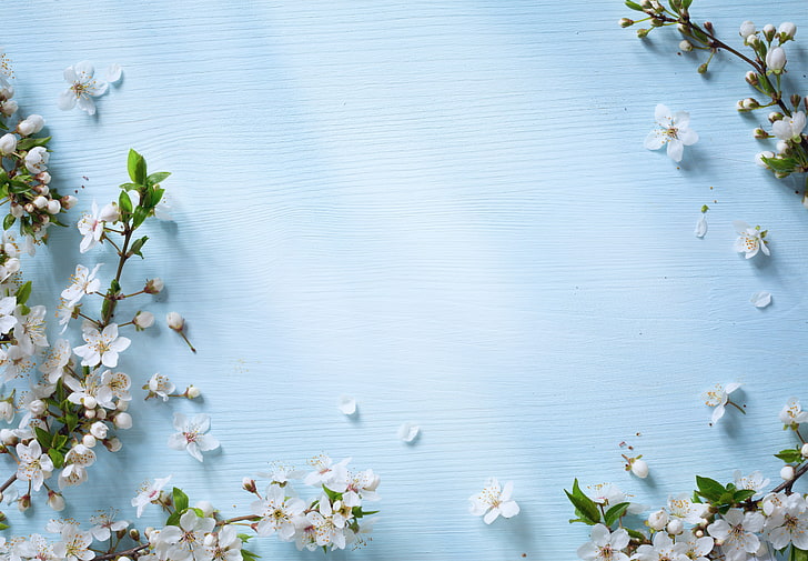 bunga, musim semi, Apple, kayu, biru, mekar, Wallpaper HD