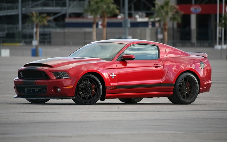 2013, ford, gt500, muscle, mustang, shelby, snake, super, supersamochód, Tapety HD