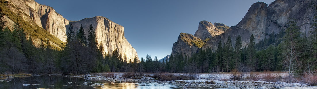 gröna blad, flera skärmar, landskap, Yosemite National Park, HD tapet HD wallpaper