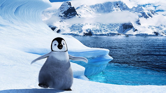 Кино, счастливые ноги, бормотание (счастливые ноги), пингвин, снег, HD обои HD wallpaper