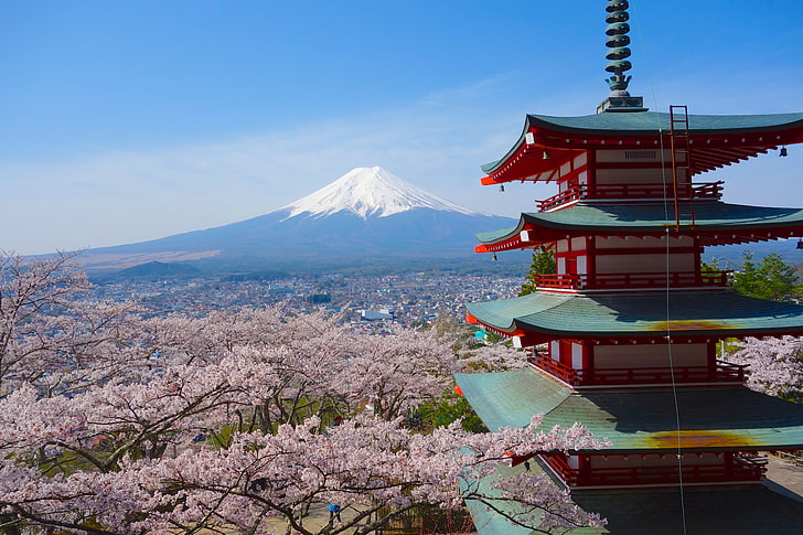 Pagode de style japonais à cinq étages appelé Chureito entouré de belle montagne Sakura Fujisan fond Hd fond d'écran télécharger pour mobile, Fond d'écran HD