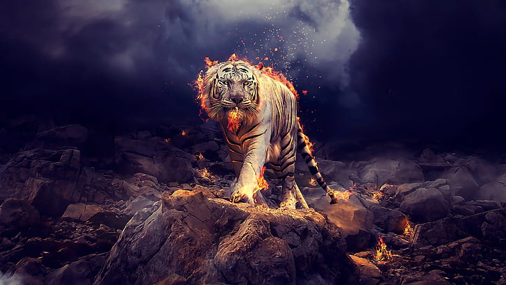 Zwierzęta fantasy, tygrys, fantasy, płomień, biały tygrys, Tapety HD
