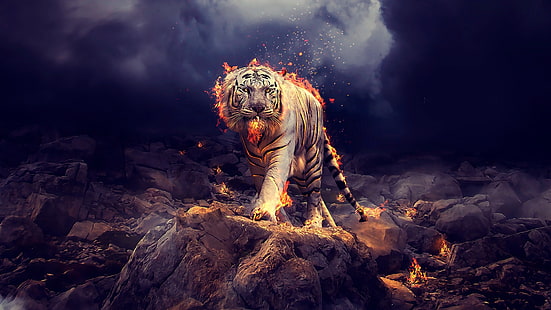 Фантастични животни, тигър, фантазия, пламък, бял тигър, HD тапет HD wallpaper