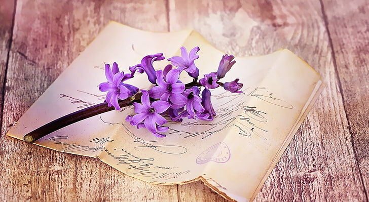 新鮮なヒヤシンスのテーブル、紫のヒヤシンスの花、ヴィンテージ、ブルー、花、春、花、木材、閉じる、ロマンチックな、香り、ヒヤシンス、かわいい、手紙、春、アンティーク、静物画、手書き、フォント、fragrantflower、 HDデスクトップの壁紙