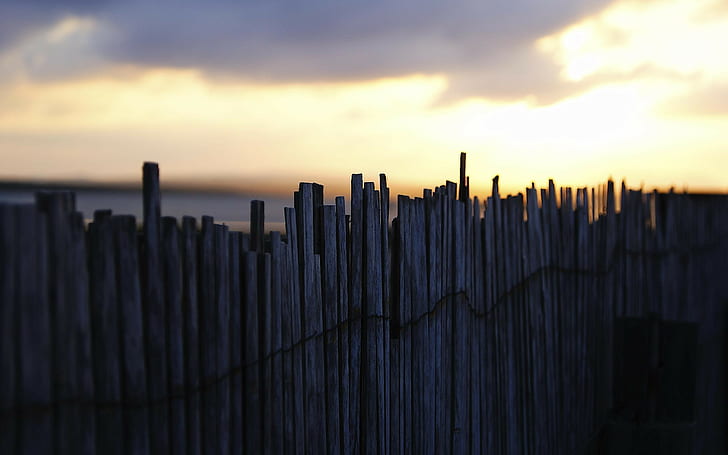 fence, HD wallpaper