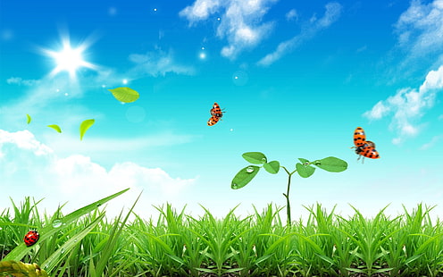 three ladybugs, grass, ladybugs, HD wallpaper HD wallpaper
