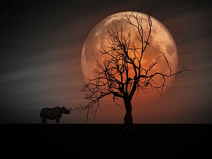 manipulation photo silhouette de Rhino près de l'arbre sur un réglage de lune de sang, Plaine, silhouette, manipulation de photo, Rhino, arbre, lune de sang, fond, Surréaliste, art numérique, lune, nuit, nature, halloween, pleine lune, illustration, clair de lune, ciel, lune planétaire, sombre, fantasmagorique, Fond d'écran HD HD wallpaper