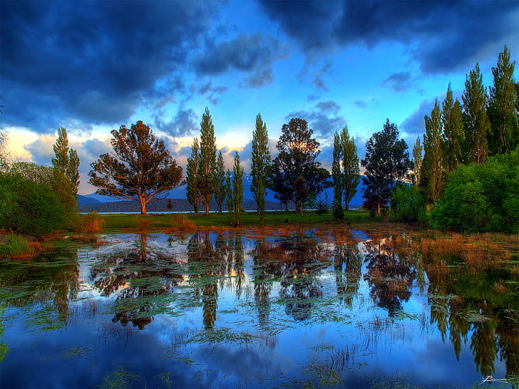 green leafed trees in front of body of water during daytime, trees, front, body of water, daytime, te anau, southern  alps, fiordland, southland, south  island  nz, new  zealand, mountains, lake, clouds, view, morning, reflections, water, valleys, peaks, light, cold, silence, sun, shadows, dark  waves, day, dex, nature, tree, forest, reflection, landscape, outdoors, sky, scenics, blue, beauty In Nature, pond, summer, river, autumn, cloud - Sky, park - Man Made Space, tranquil Scene, HD wallpaper