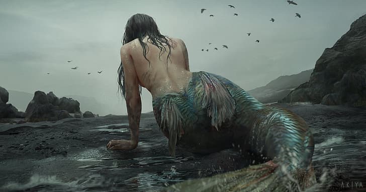 mermaid, monster, scales, fins, rocky coast, cloudy sky, dark place, black crows, by Akiya, HD wallpaper