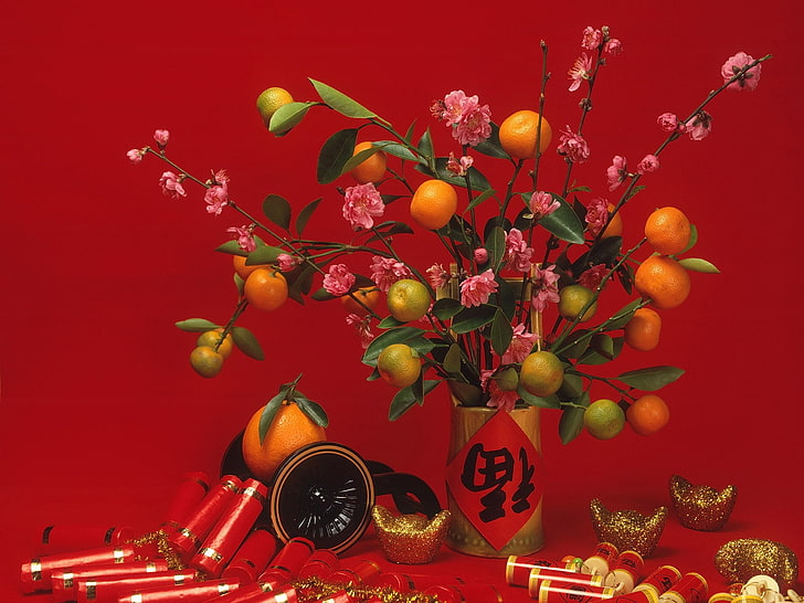 citrus fruit, tangerines, cups, gold, warmth, flowers, HD wallpaper
