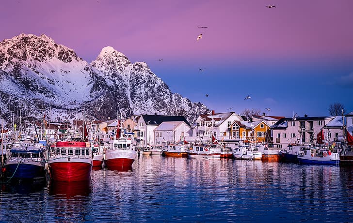 sea, landscape, mountains, birds, rocks, coast, Marina, home, ships, boats, morning, pier, village, Norway, The Lofoten Islands, Lofoten, HD wallpaper