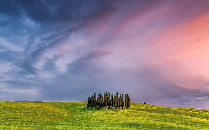 Italy tuscany grassland trees-Scenery High Quality.., HD wallpaper