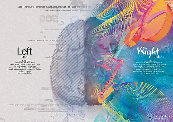 Anatomia, cérebro, cabeça, médico, cartaz, psicodélico, crânio, HD papel de parede