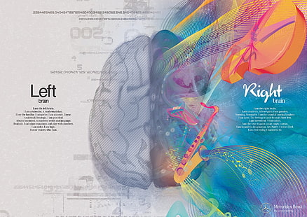 Anatomie, Gehirn, Kopf, Medizin, Plakat, psychedelisch, Schädel, HD-Hintergrundbild HD wallpaper