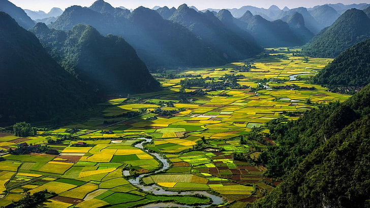 Fotografia, Paisagem, Terra, Campo, Verde, Terraço de arroz, Vietnã, HD papel de parede