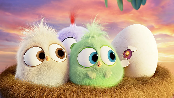 Angry Birds, Vögel, Filme, Animationsfilme, 2016 Filme, der Angry Birds-Film, HD-Hintergrundbild