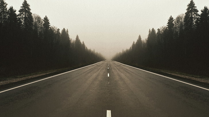 strada, foresta, caduta, nebbia, asfalto, alberi, paesaggio, autostrada, prospettiva, rumore, Sfondo HD