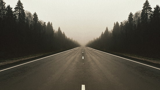 road, forest, fall, mist, asphalt, trees, landscape, highway, perspective, noise, HD wallpaper HD wallpaper