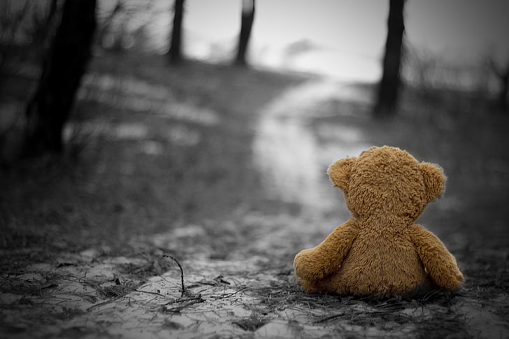oso de peluche marrón, frío, tristeza, otoño, soledad, juguete, nostalgia, Fondo de pantalla HD