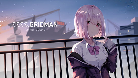 SSSS.GRIDMAN, animeflickor, skolflicka, Shinjou Akane, HD tapet HD wallpaper