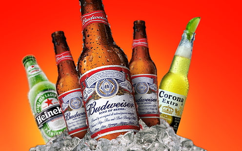 beer bottles poster, beer, Budweiser, Heineken, Corona, alcohol, HD wallpaper HD wallpaper