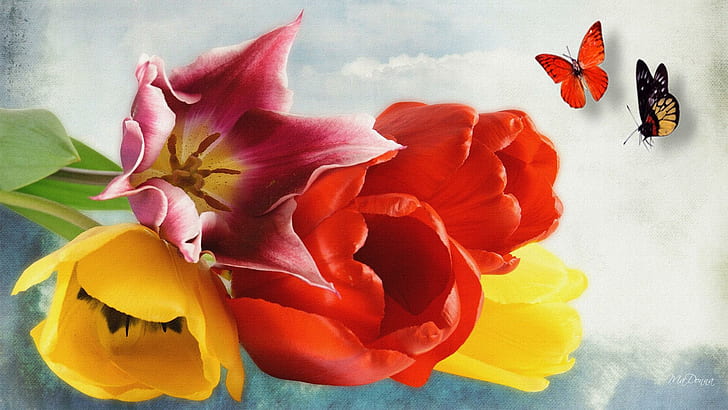 Tulip Musim Semi Berwarna-warni, musim semi, persona firefox, warna, cerah, kupu-kupu, tulip, bunga, 3d dan abstrak, Wallpaper HD