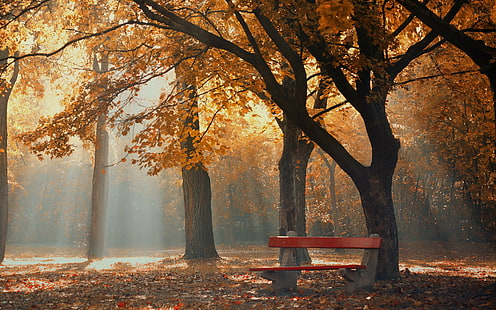 парк, есенни фонове, зеленина, дървета, пейка, изтегляне 3840x2400 fark, HD тапет HD wallpaper