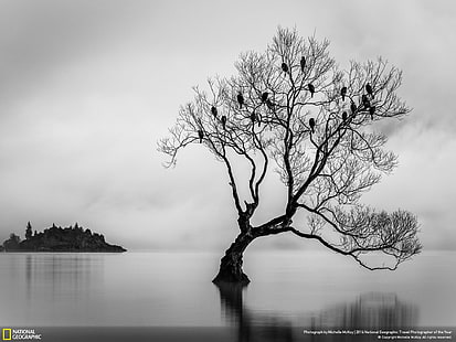 Magical Lake Wanaka-National Geographic 바탕 화면, HD 배경 화면 HD wallpaper