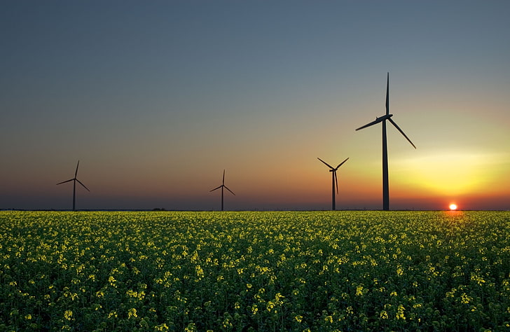 lansekap bidang energi alam kincir angin generator angin turbin angin Nature Fields HD Seni, alam, Lansekap, Wallpaper HD