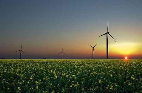 風景自然エネルギーフィールド風車風力発電機風力タービン自然フィールドHDアート、自然、風景、 HDデスクトップの壁紙 HD wallpaper