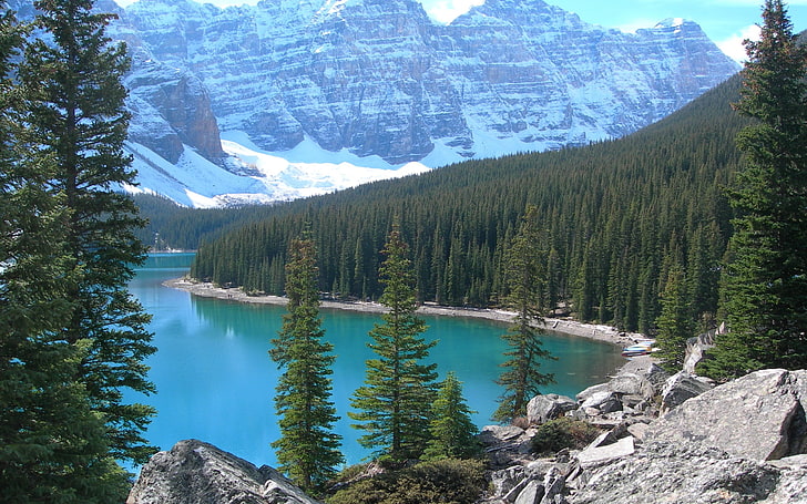 badan air, pemandangan, alam, pohon, gunung, Kanada, Taman Nasional Banff, Danau Moraine, Wallpaper HD