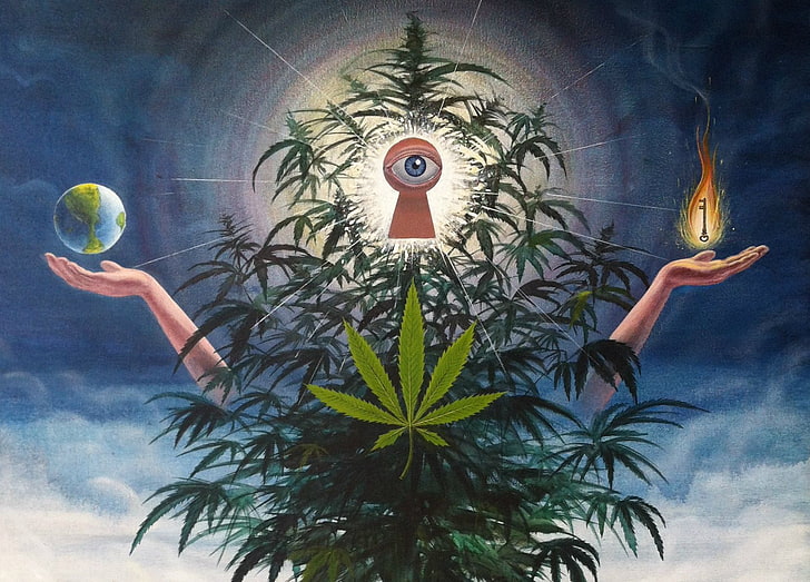 420, cannabis, marijuana, ogräs, HD tapet