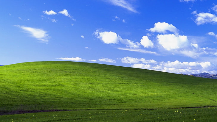 Microsoft Windows tapeter, Windows XP, trädgård, landskap, nostalgi, fält, grönt, HD tapet