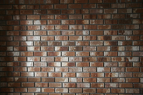 brown brick wall, wall, brick, background, texture, HD wallpaper HD wallpaper