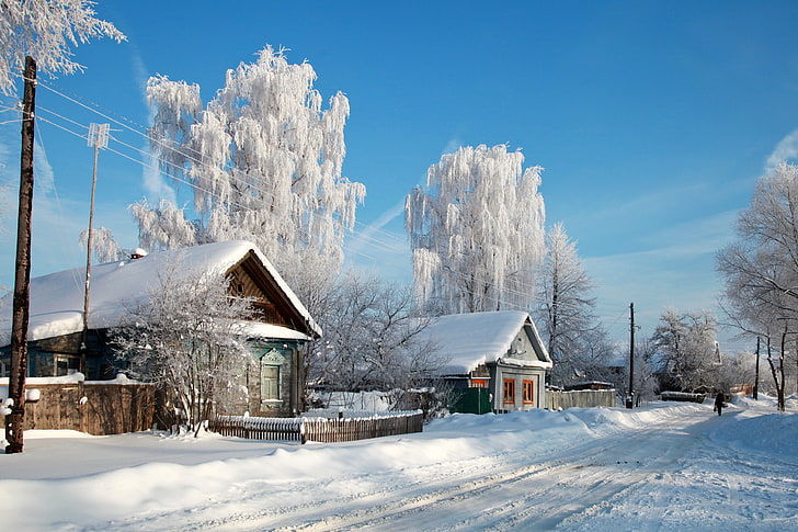 два серых деревянных дома, снег, деревья, природа, город, фото, дома, деревня, Россия, HD обои
