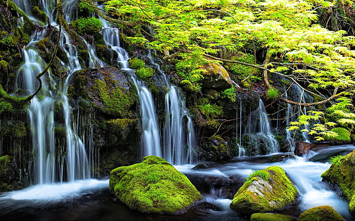 Stream Waterfall In Spring Rocks With Green Moss Clear Water Green Trees Shrubs Landscape Desktop Wallpaper Hd For Mobile Phones And Laptops 3840×2400, HD wallpaper