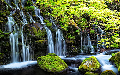 Stream Waterfall In Spring Rocks With Green Moss Clear Water Green Trees Shrubs Landscape Desktop Wallpaper Hd For Mobile Phones And Laptops 3840×2400, HD wallpaper HD wallpaper