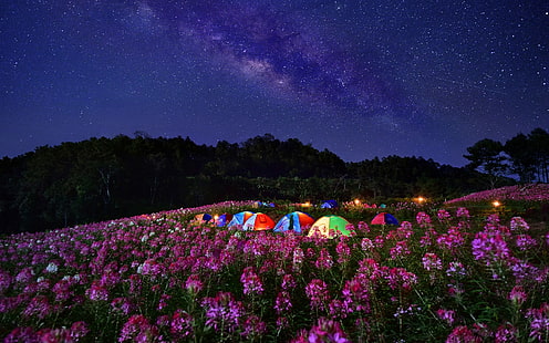 Camping, HD-Hintergrundbild HD wallpaper