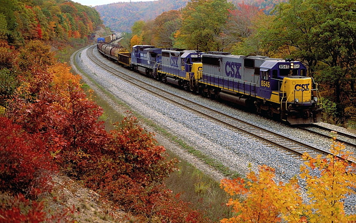 серый, фиолетовый и желтый локомотив, поезд, движение, природа, осень, HD обои
