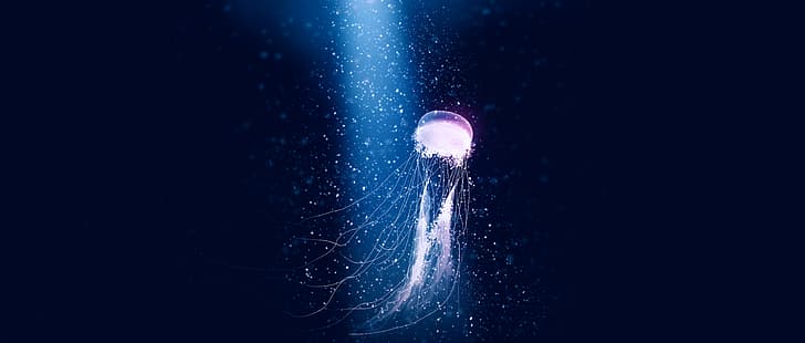 Gracile, jellyfish, artwork, digital art, digital painting, sea, deep sea, HD wallpaper