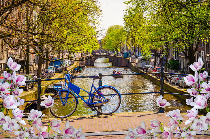 bro, cykel, flod, vår, Amsterdam, blommande, blomning, blommor, gamla, byggnader, Nederländerna, kanal, HD tapet