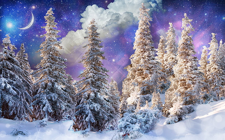 заснеженный лес цифровые обои, зима, лес, солнце, звёзды, облака, снег, деревья, блики, фотошоп, месяц, фэнтези, HD обои
