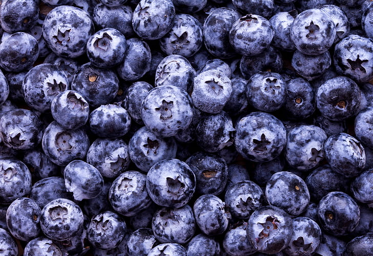 berries, a lot, Blueberries, HD wallpaper